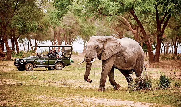 Explore-Zambia-Prive-begeleide-safari-Combi-Malawi-en-Zambia-wat-is-niet-inbegrepen