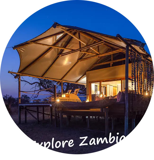 Contact Explore Zambia Priv Safari s Naar Zambia