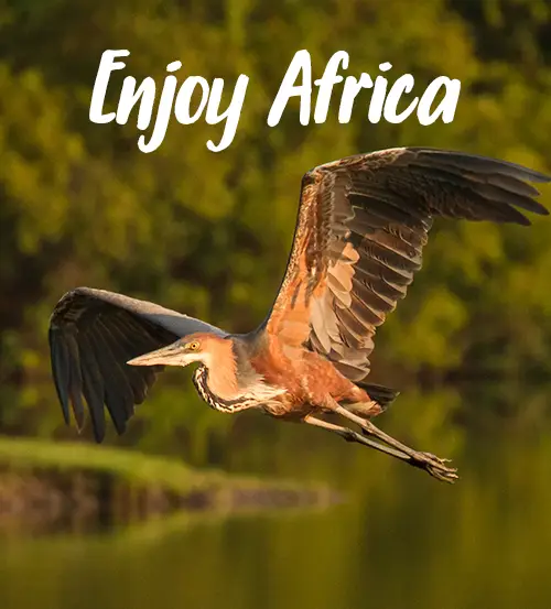 Explore-Zambia-Prive-Safari-Wat je moet weten over Zambia-Enjoy-Africa