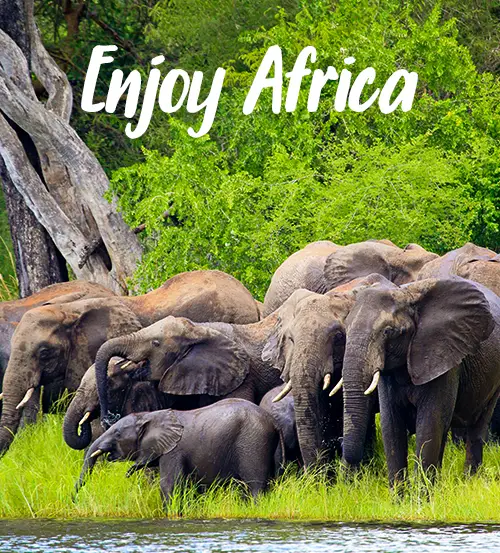 Explore-Zambia-Prive-Safari-met-gids-chauffeur-Rondreizen-Enjoy-Africa