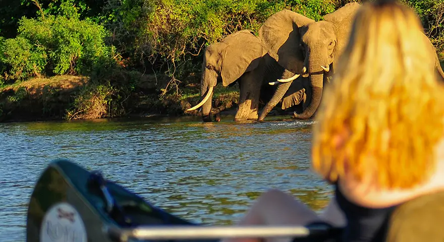 Explore-Zambia-Prive-Safari-met-gids-chauffeur-betalingen
