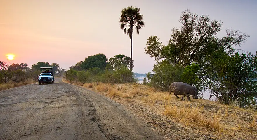 Explore-Zambia-Prive-Safari-met-gids-chauffeur