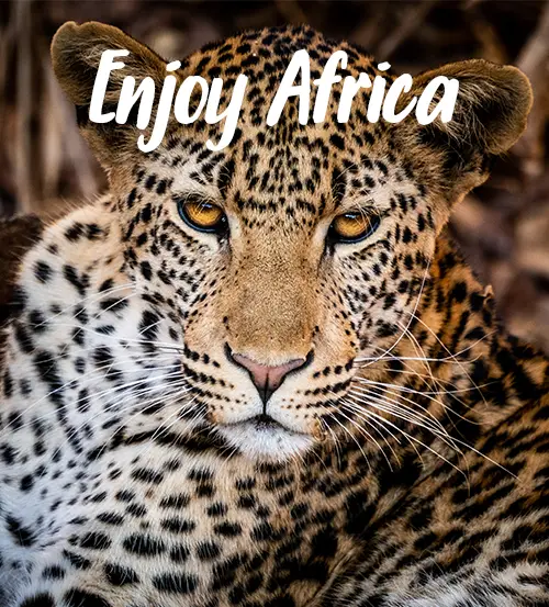 Explore-Zambia-Prive-Safari-met-gids-chauffeur-Enjoy-Africa