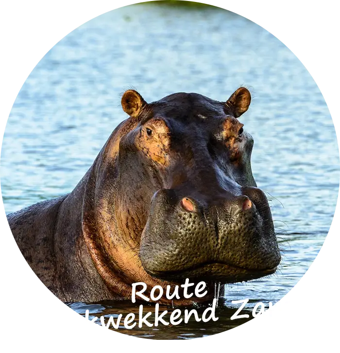 Explore-Zambia-Prive-begeleide-safari-Indrukwekkend-Zambia