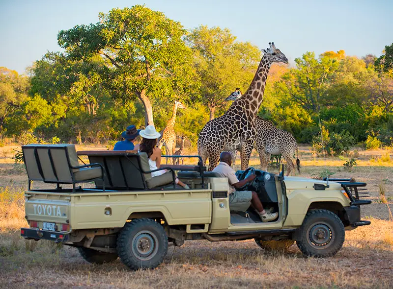 Explore-Zambia-Private-Guided-Safaris-Travelling-in-Zambia-packing-list