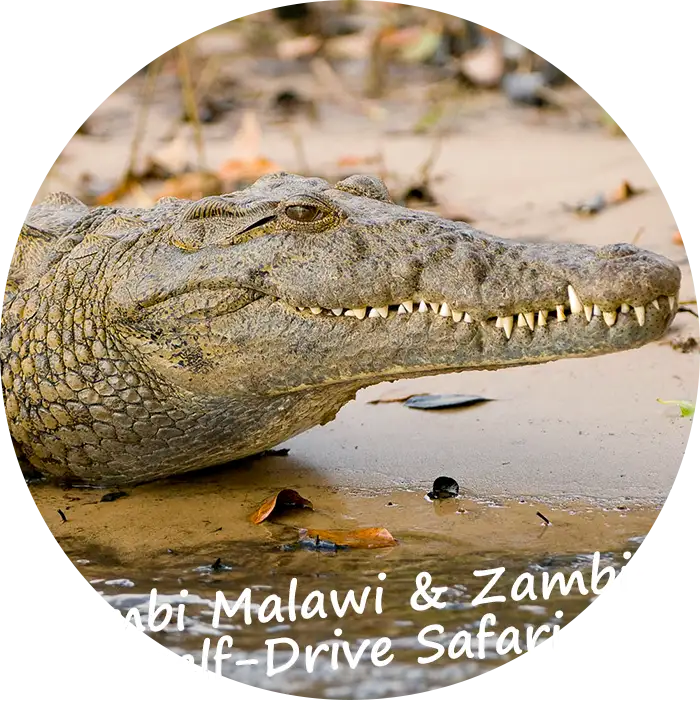 Self-Drive Rondreis Combi Zambia en Malawi