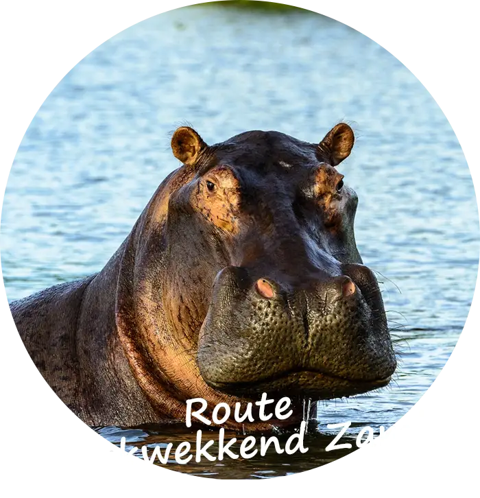 Explore-Zambia Prive Safari Indrukwekkend Zambia